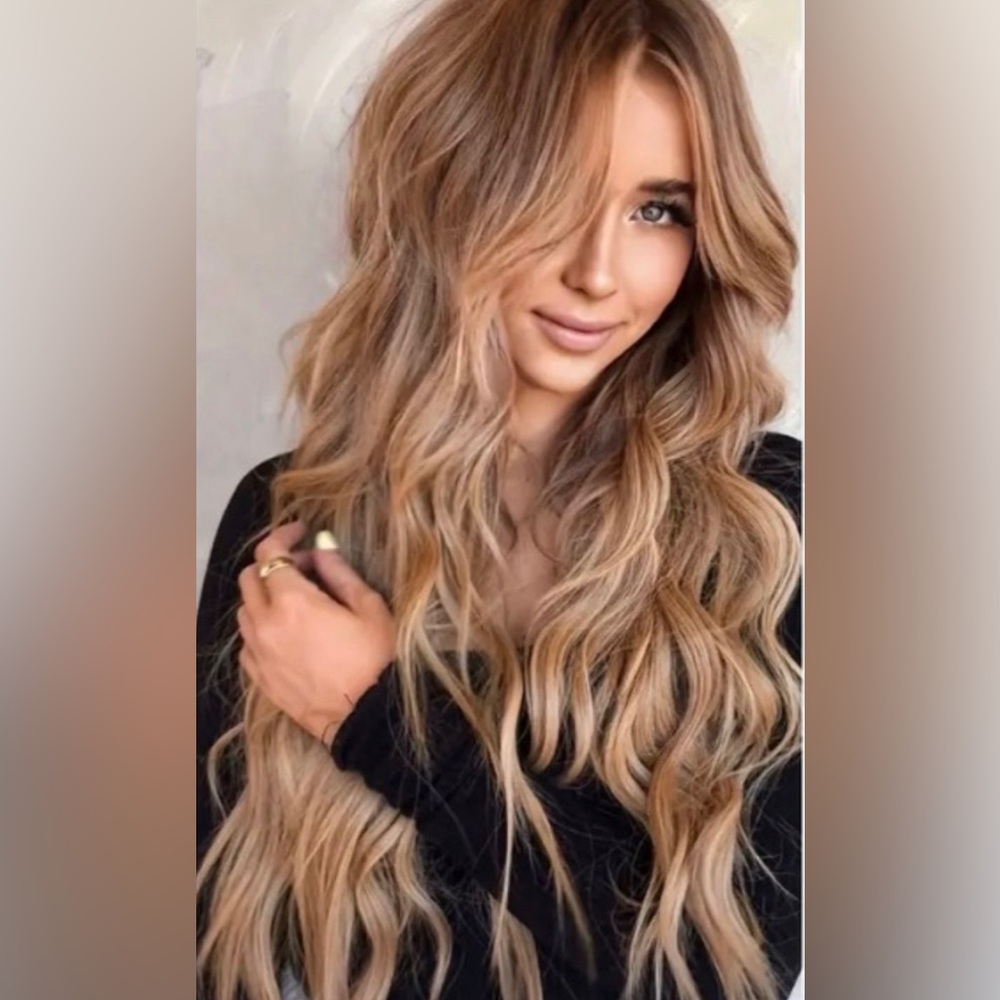 NWT Long Wavy Hair Wig